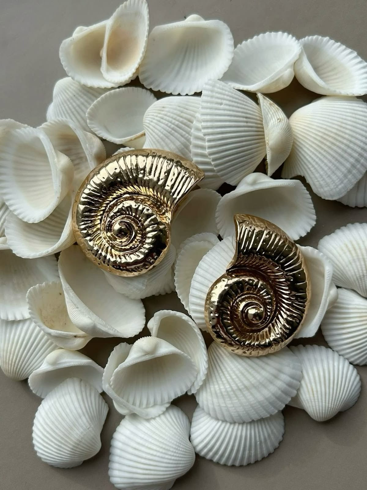 Обеци от неръждаема стомана OCEAN SHELL GOLD