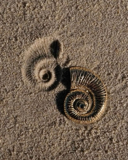 Обеци от неръждаема стомана OCEAN SHELL GOLD